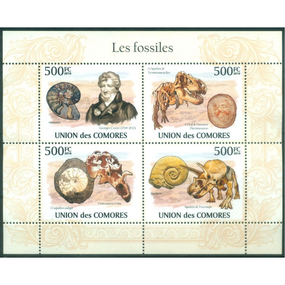 Los Fósiles